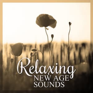 Relaxing New Age Sounds – Complete Relaxation, Sounds of Nature, Soothing Music for Relaxation, Calming Music for Rest - Relaxing Evening Music Universe