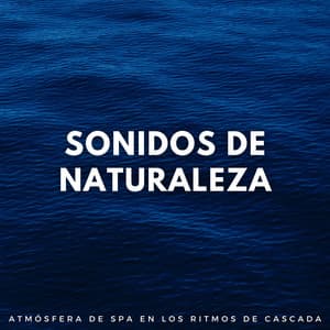 Sonidos De Naturaleza: Atmósfera De Spa En Los Ritmos De Cascada - Sonidos de agua Ruido blanco natural