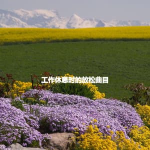 工作休息时的放松曲目 - Restaurant Bossa Nova Deluxe