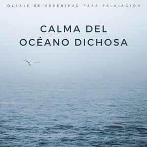 Calma Del Océano Dichosa: Oleaje De Serenidad Para Relajación - Vientos y Océanos