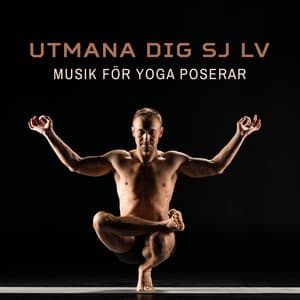 Utmana dig själv - Namaste läkning yoga