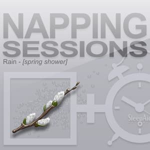 Napping Sessions - Rain - Spring Shower - Rain - Spring Shower