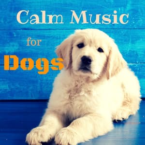 Calm Music for Dogs – Relaxing Nature Sounds to Soothe Anxious Pet, Music Therapy, Pet Relaxation - Music for Dog's Ears