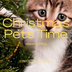3 2 1 Christmas Pets Time - Music for Pets Library