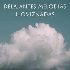Relajantes Melodías Lloviznadas - Relajarse Lluvia