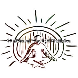 65 ANatural World Of Meditation - Meditation Zen Master