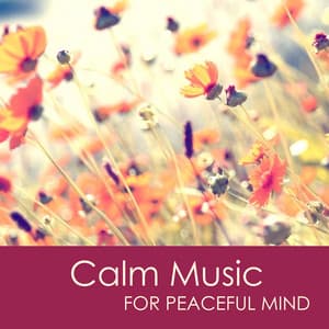 Calm Music for Peaceful Mind - Relaxing Meditation Music & Yoga Sleep Music for Stress Relief and Healing - Calm Music Ensemble