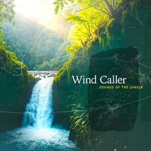 Wind Caller - Sounds of the Jungle