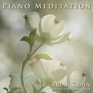 Piano Meditation Music - 1 Hour Music