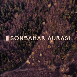Sonbahar Aurası - Jardim Zen