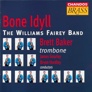 Bone Idyll - Williams Fairey Band