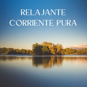 Relajante Corriente Pura - Agua Mantra