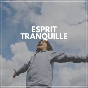 Esprit tranquille - Oasis de Musique Zen Spa