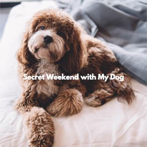 Secret Weekend with My Dog - Cuban Music Playlist