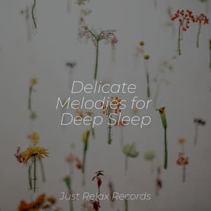 Delicate Melodies for Deep Sleep - Study Music & Sounds