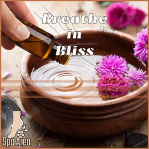 Breathe in Bliss: Sauna Journeys to Total Relaxation - Spa Area