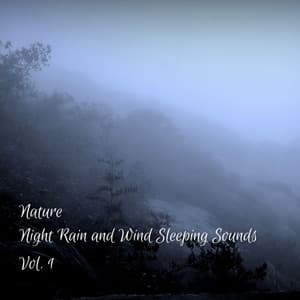 Nature: Night Rain and Wind Sleeping Sounds Vol. 1 - Rain Sound Experience