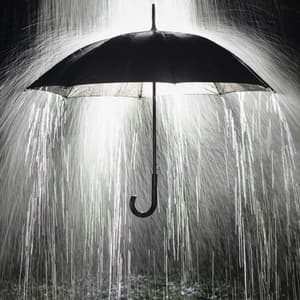 Focus Oasis in the Rain: Chill Music Rain - Nature & Rainforest Sounds Collective