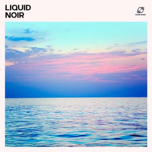 Liquid Noir: Deep House Collection - Ibiza Deep House Lounge