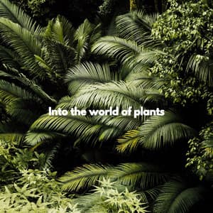 Into the world of plants - Acoustic Coffee Shop Music