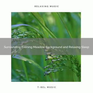 2020 Best: Surrounding Evening Meadow Background and Relaxing Sleep - Natural Sound Makers