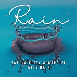 Rainy Purrs: Music to Ease Your Cat's Stress - Rain Sounds Factory STHLM