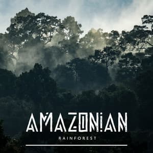 Amazonian Rainforest - Forest Hills Music Universe