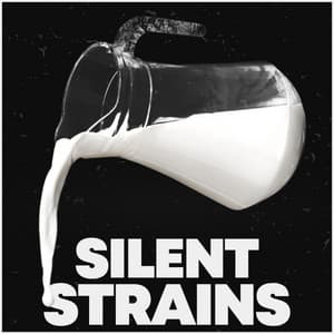 Silent Strains - Brown Noise Deep Sleep