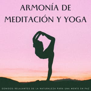 Armonía De Meditación Y Yoga: Sonidos Relajantes De La Naturaleza Para Una Mente En Paz - La naturaleza llama