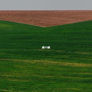 森の緑 - Cool Jazz Chill