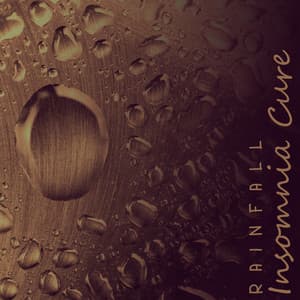 Rainfall Insomnia Cure: Find Peace in Your Sleep - Rain Music!