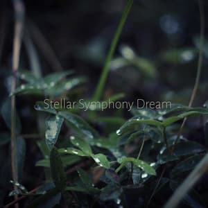 Stellar Symphony Dream - Celestial Cascade