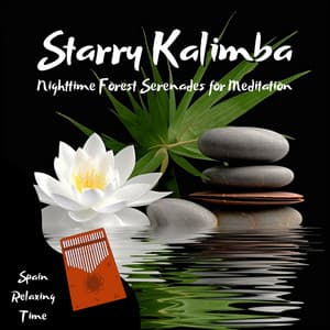 Starry Kalimba: Nighttime Forest Serenades for Meditation - Spain Relaxing Time