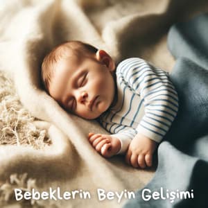 Bebeklerin Beyin Gelişimi - Bebek Uyku Ninnileri