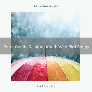 ! ! ! ! ! ! ! ! ! ! Enter Gentle Rainforest with Wild Bird Songs - Heavy Rain Sounds