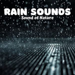 Rain Sounds: Sound of Nature - Nature Ambience