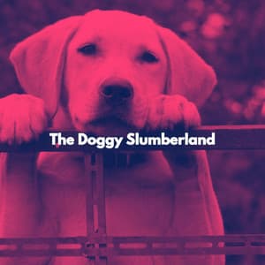The Doggy Slumberland - Easy Listening Office Music