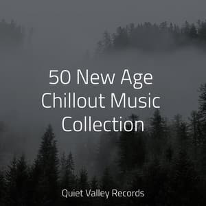 50 New Age Chillout Music Collection - Lullabies for Deep Meditation