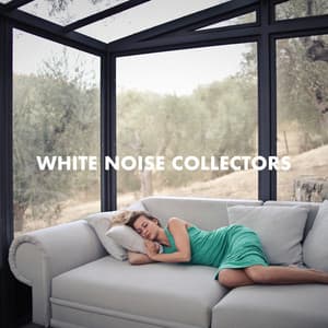 Best White Noise in the Home - White Noise Collectors