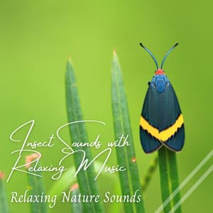 Relaxing Nature Sounds: Insect Sounds with Relaxing Music - Baby Sleeping Music