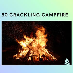 50 Crackling Campfire - Campfire & Fireplace