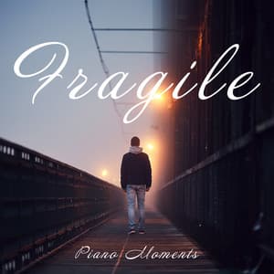 Fragile Piano Moments: Melodies of Solace - Classical Piano Academy