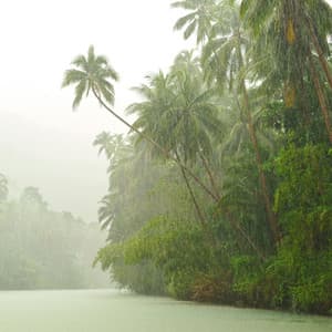 Raindrop Serenades: Songs from the Cloud's Embrace - Distantic