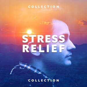 Stress Relief Collection: Soft Sleep Music, Relaxation, ASMR - Stress Relief Helper