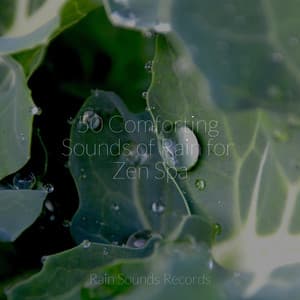50 Comforting Sounds of Rain for Zen Spa - Lucid Dreaming Music