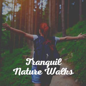 Tranquil Nature Walks - Nature