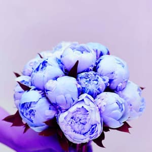 Classic Jazz Piano Duo - Background for Fresh Days - Brunch Chillout Playlist