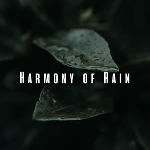 Harmony of Rain: Nature's Relaxation with Insects and Chill Music - Ricky Rainsound