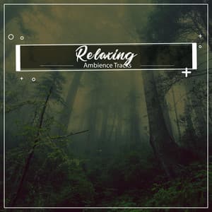 #19 Relaxing Ambience Tracks for Inner Peace - Deep Meditation