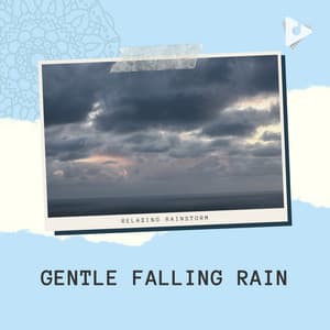 Gentle Falling Rain - Relaxing Rainstorm